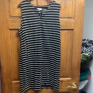 J jill 2xl dress